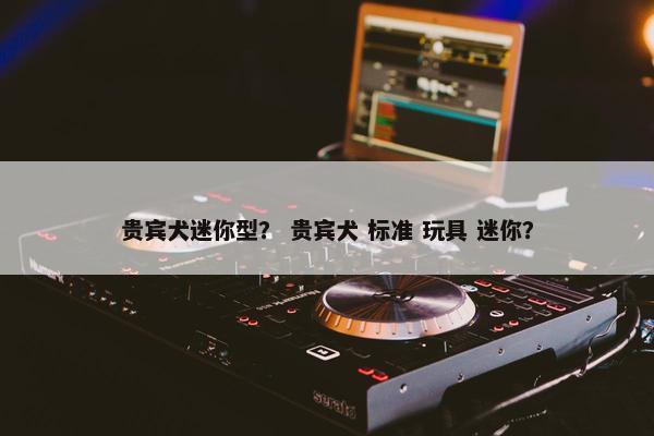 贵宾犬迷你型？ 贵宾犬 标准 玩具 迷你？