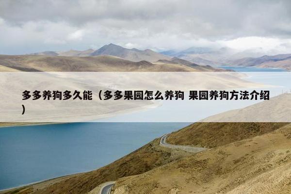 多多养狗多久能（多多果园怎么养狗 果园养狗方法介绍）