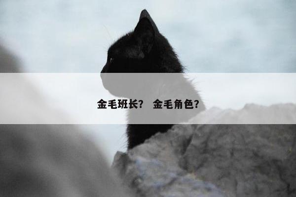 金毛班长？ 金毛角色？