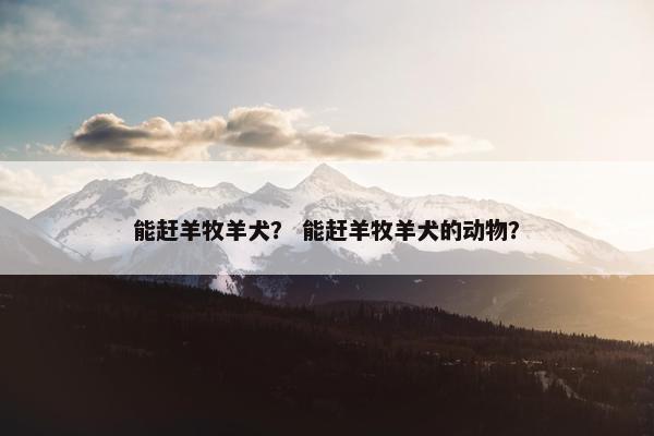 能赶羊牧羊犬？ 能赶羊牧羊犬的动物？