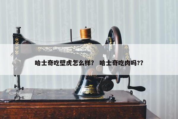 哈士奇吃壁虎怎么样？ 哈士奇吃肉吗?？