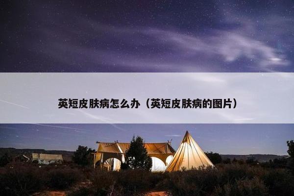 英短皮肤病怎么办（英短皮肤病的图片）