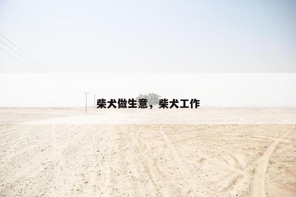 柴犬做生意，柴犬工作