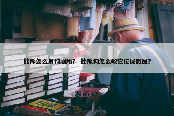 比熊怎么用狗厕所？ 比熊狗怎么教它拉屎撒尿？
