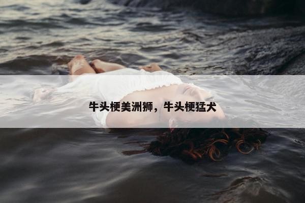 牛头梗美洲狮，牛头梗猛犬