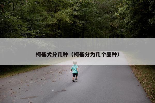 柯基犬分几种（柯基分为几个品种）