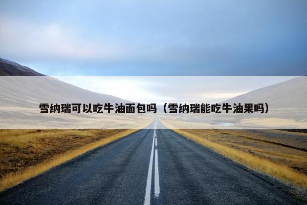 雪纳瑞可以吃牛油面包吗（雪纳瑞能吃牛油果吗）