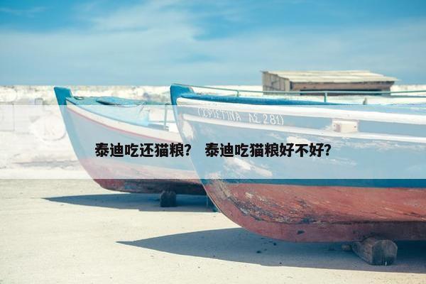 泰迪吃还猫粮？ 泰迪吃猫粮好不好？