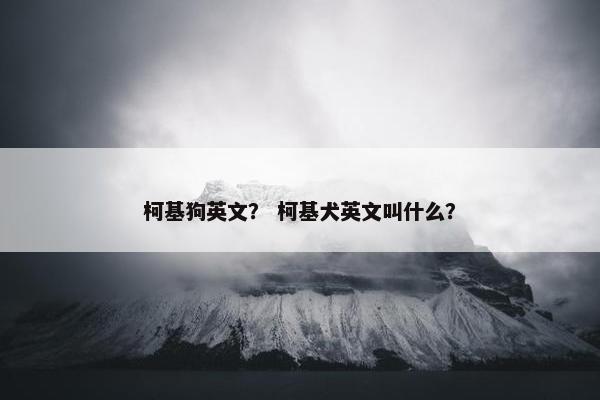 柯基狗英文？ 柯基犬英文叫什么？