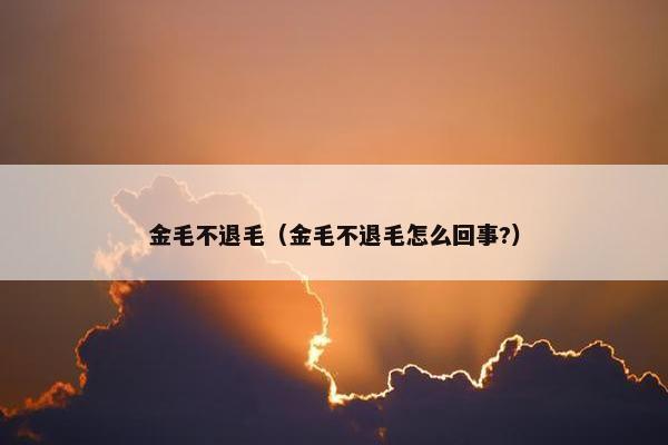 金毛不退毛（金毛不退毛怎么回事?）
