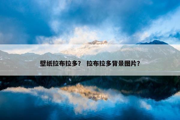壁纸拉布拉多？ 拉布拉多背景图片？