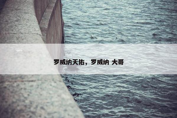 罗威纳天佑，罗威纳 大哥