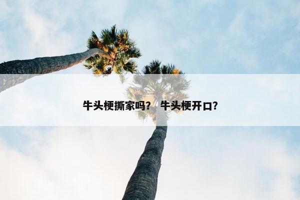 牛头梗撕家吗？ 牛头梗开口？