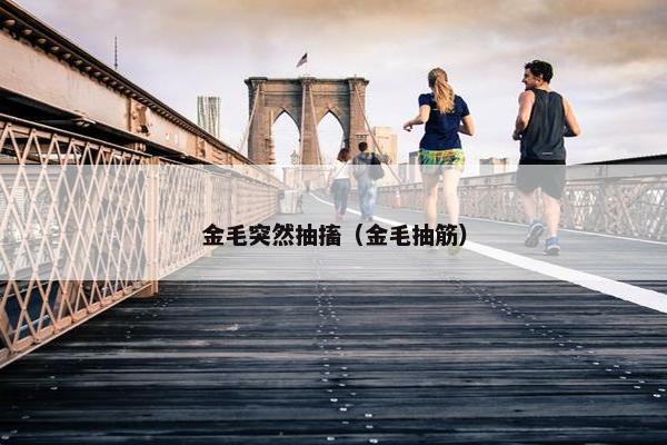 金毛突然抽搐（金毛抽筋）