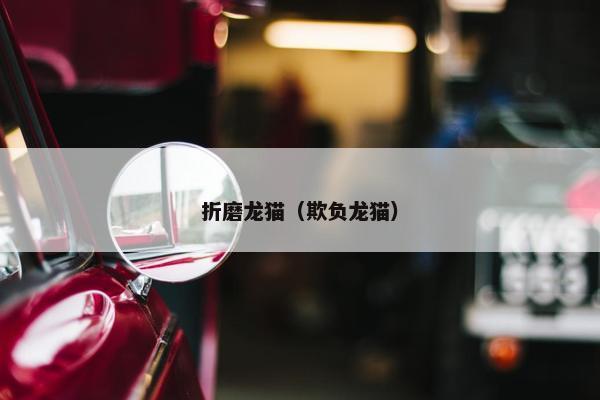 折磨龙猫（欺负龙猫）