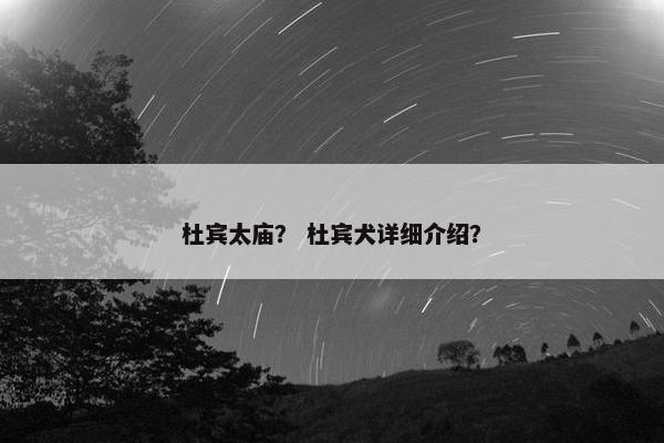 杜宾太庙？ 杜宾犬详细介绍？