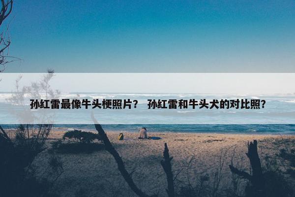 孙红雷最像牛头梗照片？ 孙红雷和牛头犬的对比照？