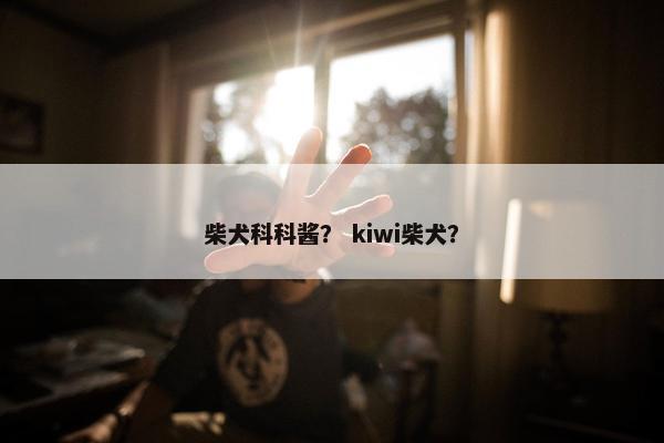 柴犬科科酱？ kiwi柴犬？