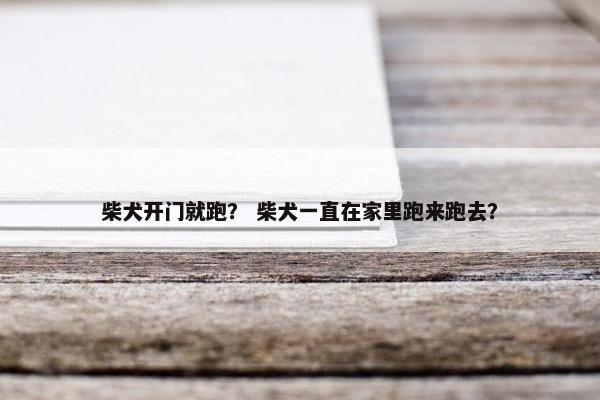 柴犬开门就跑？ 柴犬一直在家里跑来跑去？