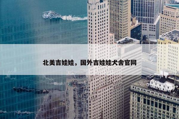 北美吉娃娃，国外吉娃娃犬舍官网