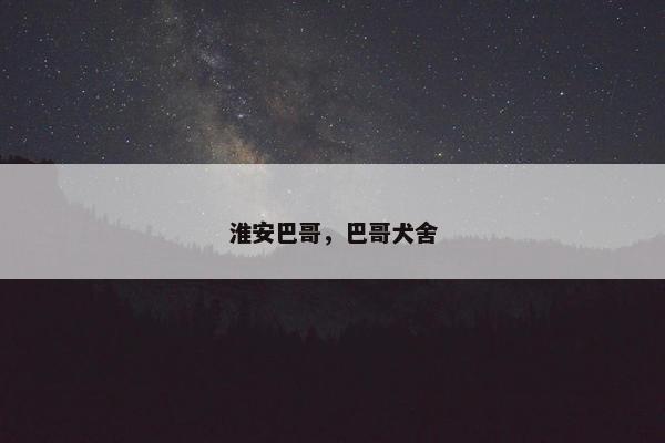 淮安巴哥，巴哥犬舍