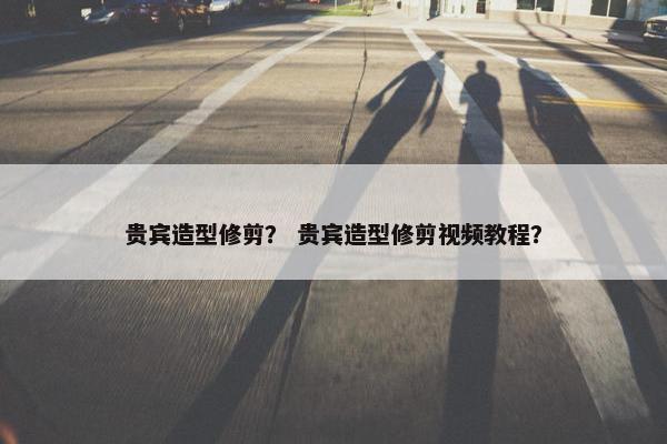 贵宾造型修剪？ 贵宾造型修剪视频教程？