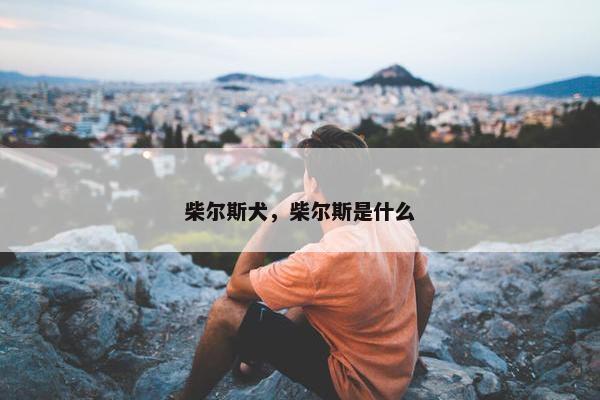 柴尔斯犬，柴尔斯是什么
