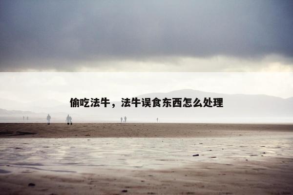 偷吃法牛，法牛误食东西怎么处理