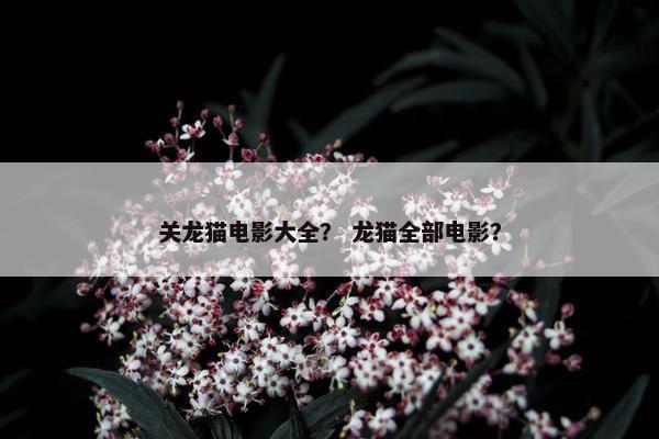 关龙猫电影大全？ 龙猫全部电影？