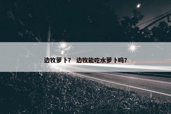 边牧萝卜？ 边牧能吃水萝卜吗？