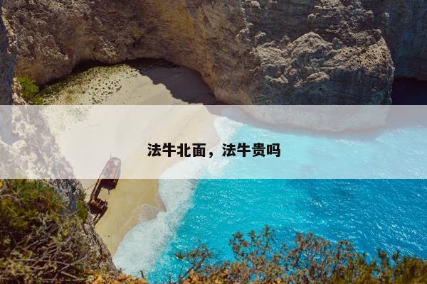 法牛北面，法牛贵吗