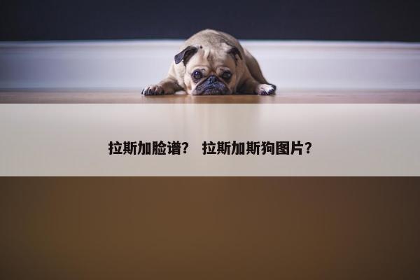 拉斯加脸谱？ 拉斯加斯狗图片？