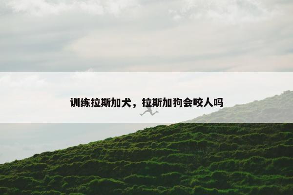 训练拉斯加犬，拉斯加狗会咬人吗