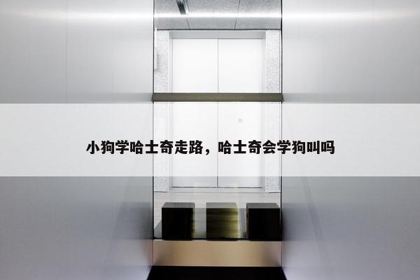 小狗学哈士奇走路，哈士奇会学狗叫吗