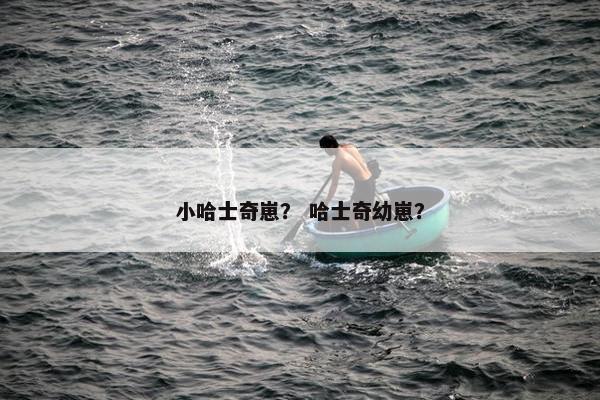 小哈士奇崽？ 哈士奇幼崽？