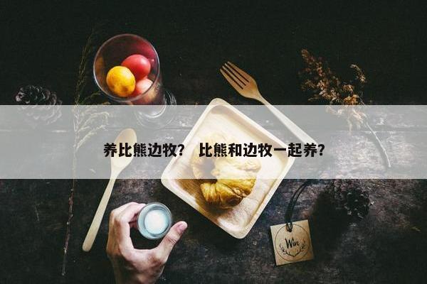养比熊边牧？ 比熊和边牧一起养？