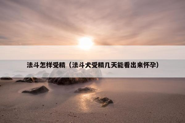 法斗怎样受精（法斗犬受精几天能看出来怀孕）