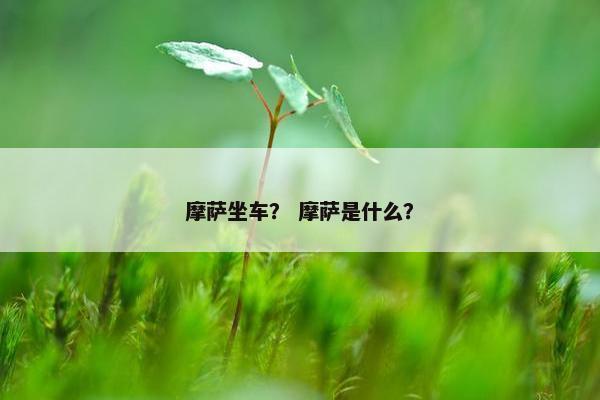 摩萨坐车？ 摩萨是什么？