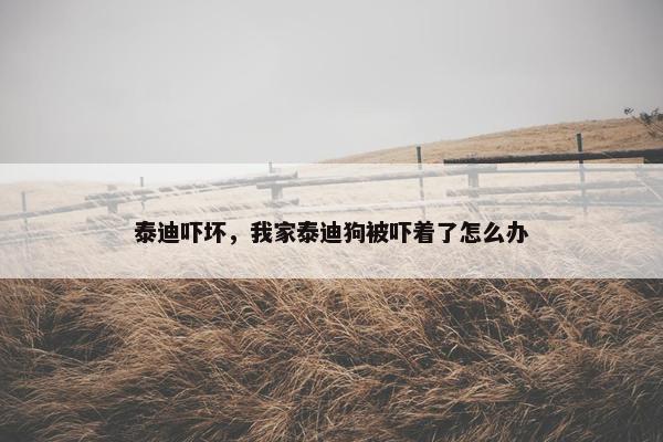 泰迪吓坏，我家泰迪狗被吓着了怎么办