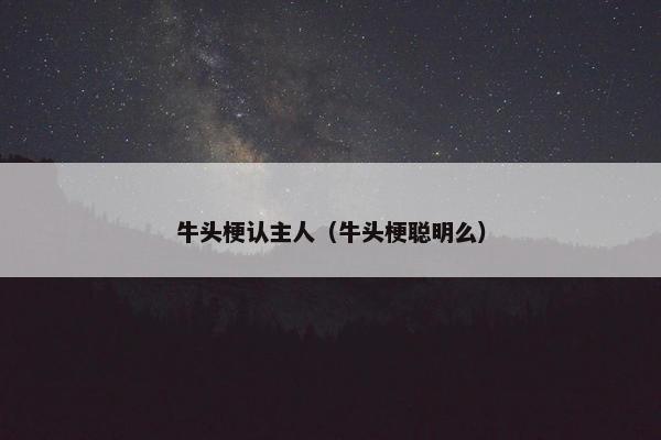 牛头梗认主人（牛头梗聪明么）