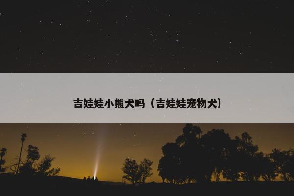 吉娃娃小熊犬吗（吉娃娃宠物犬）
