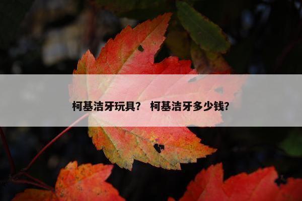 柯基洁牙玩具？ 柯基洁牙多少钱？