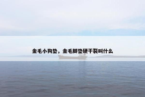 金毛小狗垫，金毛脚垫硬干裂叫什么