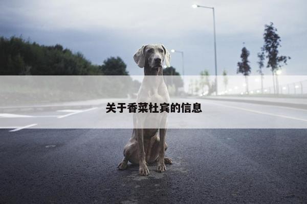 关于香菜杜宾的信息
