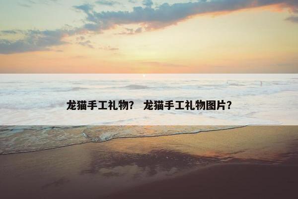 龙猫手工礼物？ 龙猫手工礼物图片？