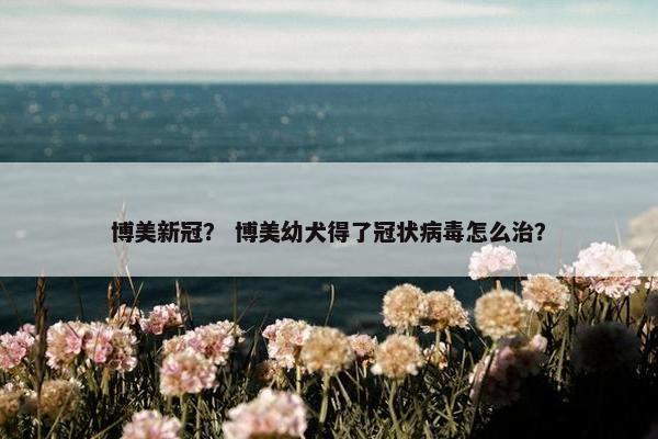 博美新冠？ 博美幼犬得了冠状病毒怎么治？
