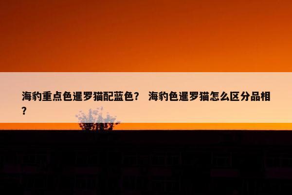 海豹重点色暹罗猫配蓝色？ 海豹色暹罗猫怎么区分品相？