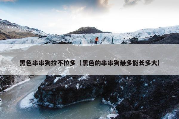 黑色串串狗拉不拉多（黑色的串串狗最多能长多大）