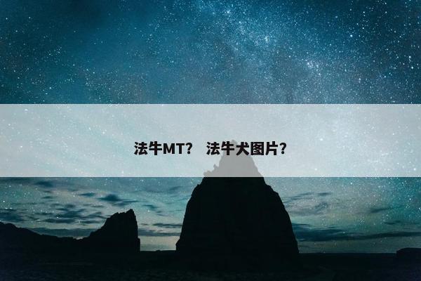 法牛MT？ 法牛犬图片？