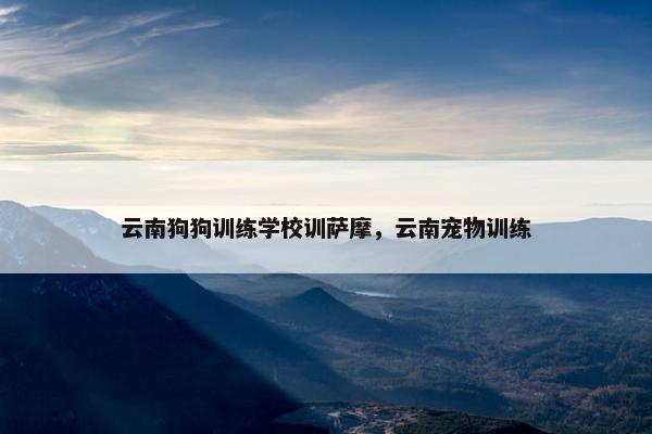 云南狗狗训练学校训萨摩，云南宠物训练